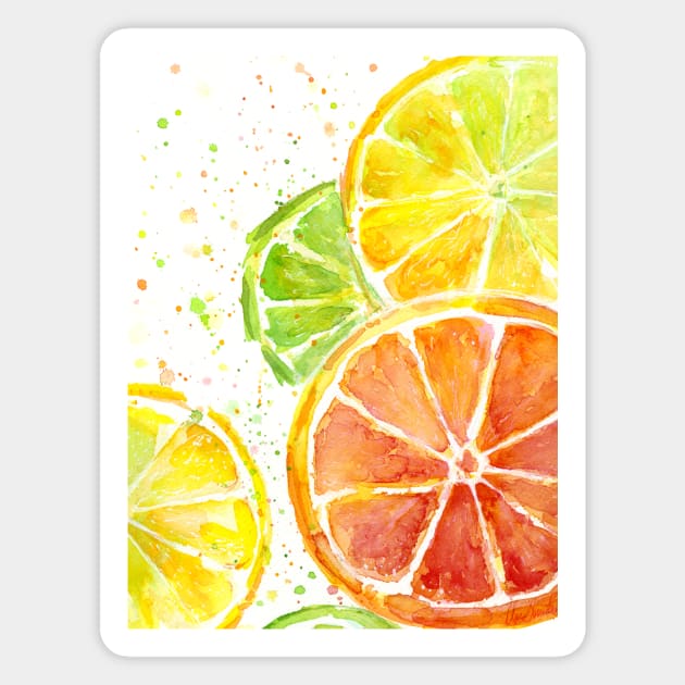 Juicy Citrus Fruit Magnet by Olechka